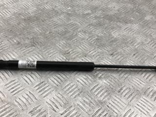 амортизатор капота BMW X5 E70 2008, 4.8 л., N62 B48 B, бензин, АКПП, черный 	 schwarz 2 (668), внедорожник 5 дв., 7148346, 51237148346