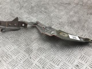 петля капота левая BMW X6 E71 [рестайлинг] E71 2012, 4.4 л., N63 B44 A, бензин, АКПП, titansilber metallic (354), внедорожник 5 дв., полный привод, 7208627, 41007198617