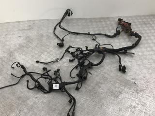 проводка двигателя BMW X6 M E71/E72 2010, 4.4 л., S63 B44 A, бензин, АКПП, carbonschwarz metallic (416), внедорожник 5 дв., полный привод, 12517601325