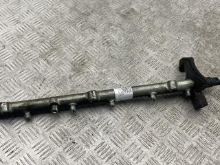 топливная рампа Land Rover Range Rover 3 поколение 2003, 2.9 л., M 57 D 30, дизель, АКПП, 0445216002