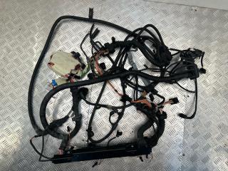 проводка двигателя BMW 7 серия F01/F02 F01 2010, 3.0 л., N54 B30 A, бензин, 12527578955, 7578955