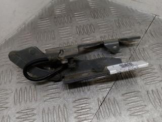 петля капота правая BMW 6 серия E63/E64 [рестайлинг] E63 2009, 3.5 л., M57N 306D5, дизель, АКПП, spacegrau metallic (a52), купе, задний привод, правый руль, 7064160, 41617210670