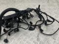 проводка двигателя BMW 6 серия E63/E64 [рестайлинг] E63 2009, 3.5 л., M57N 306D5, дизель, АКПП, spacegrau metallic (a52), купе, задний привод, правый руль, 7801726, 12517801726, 7802264, 12517802264 - фото №4