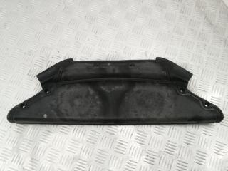 перегородка BMW X5 F15 2017, 4.0 л., дизель, АКПП, black sapphire metallic (475), внедорожник 5 дв., полный привод, 51717309204, 7309204