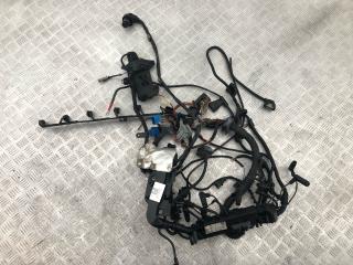 проводка двигателя BMW 3 серия E90/E91/E92/E93 E90 2007, 3.0 л., M57 D30 (306D3), дизель, АКПП, серебро, седан, задний привод, правый руль