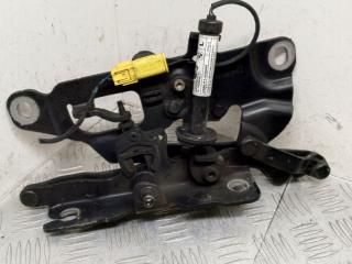 петля капота левая BMW 5 серия F07/F10/F11 F10 2011, 3.0 л., N57 D30 A, дизель, АКПП, carbonschwarz metallic (416), седан, задний привод, правый руль, 7249887, 51237184441, 7184441