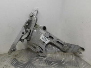 петля капота BMW X5 E70 2007, 3.0 л., M57 D30 (306D3), дизель, правый руль, 7148348, 41007198618