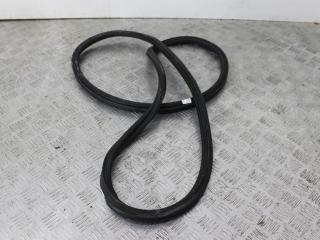 уплотнитель BMW 3 серия E90/E91 [рестайлинг] 2008, 3.5 л., M57D30 (306D5), дизель, АКПП, седан, правый руль, 51767182079