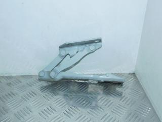 петля капота левая BMW 5 серия E60/E61 [рестайлинг] 2010, 2.0 л., N47 D20 A, дизель, АКПП, седан, правый руль, 7008727, 41617120275