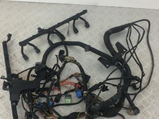 проводка двигателя BMW X5 E53 [рестайлинг] E53 2005, 3.0 л., M54 B30 (306S3), бензин, АКПП, внедорожник 5 дв.