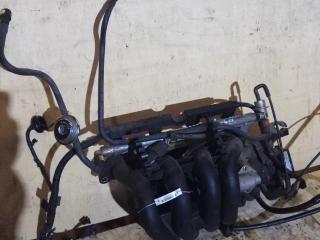 коллектор впускной Ford Focus 1 поколение 2001, 1.4 л., i, бензин, 5МКПП, бордо, хетчбэк 5 дв., передний привод, 1113066