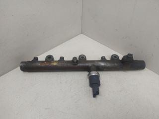 топливная рампа Renault Espace 4 поколение 2004, 2.2 л., дизель, МКПП, зеленый перламутр, минивэн, передний привод, 0445214019, BOSCH