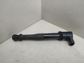 катушка зажигания Fiat Stilo 1 поколение 2007, 1.6 л., бензин, BAE403B