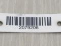 дверь передняя левая Peugeot 1007 1 поколение 2007, 1.6 л., HDi, 9HZ (DV6TED4), дизель, 5МКПП, серебристый, хетчбэк 3 дв., передний привод, 9002V9 - фото №3