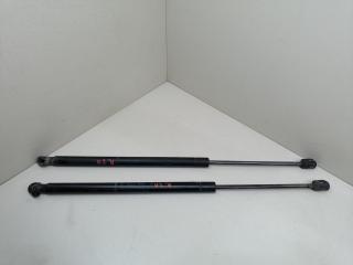 амортизатор крышки багажника (3-5 двери) Renault Scenic 2 поколение JM0G 2005, 1.9 л., DCi, F9Q 812, дизель, 6МКПП, серый, минивэн, передний привод, 8200616559, 8200377199