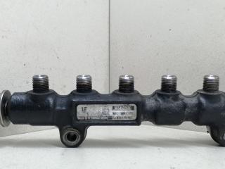 топливная рампа Peugeot 407 1 поколение 2006, 1.6 л., HDi, 9HY (DV6TED4), дизель, МКПП, серый, передний привод, 9654592680