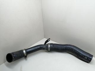 патрубок интеркулера Nissan Micra K12 [2-й рестайлинг] K12 2008, 1.5 л., DCi, K9K, дизель, 5МКПП, серый, хетчбэк 5 дв., передний привод