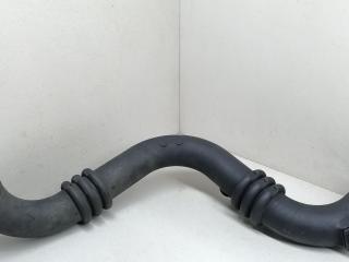 патрубок воздушного фильтра Renault Laguna 1 поколение [рестайлинг] 2000, 8200295043B