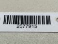 кнопка аварийной сигнализации Renault Scenic 2 поколение JM0G 2005, 1.9 л., DCi, F9Q 812, дизель, 6МКПП, серый, минивэн, передний привод, 8200095493, 8200109723, 8200107808, 88040001, 88040002, 88040003 - фото №6
