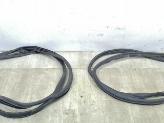 уплотнитель двери Peugeot 1007 1 поколение 2007, 1.6 л., HDi, 9HZ (DV6TED4), дизель, 5МКПП, серебристый, хетчбэк 3 дв., передний привод