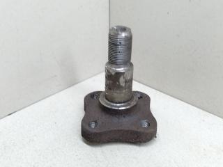 цапфа задняя Renault Clio 2 поколение 2000, 1.2 л., i, D7F 720, бензин, 5МКПП, серебристый, хетчбэк 5 дв., передний привод, 7700416374