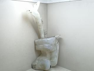 бачок омывателя Citroen Xsara Picasso 1 поколение [рестайлинг] 2008, 1.6 л., HDi, дизель, 5МКПП, белый, минивэн, передний привод, 643197