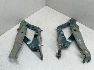 петля капота Renault Scenic 2 поколение 2005, 1.9 л., DCi, дизель, 5МКПП, зелёный, минивэн, передний привод, 81662F, 81663G