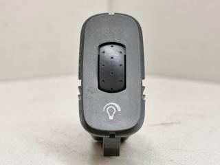 кнопка освещения панели приборов Renault Laguna 2 поколение 2002, 1.8 л., i, F4P 770, бензин, МКПП, серебристый, хетчбэк 5 дв., передний привод, 2653603