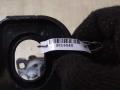 крепление бампера Mercedes-Benz C-Класс W203/S203/CL203 S203.204 2002, 2.2 л., CDi, дизель, АКПП, серый, универсал, задний привод - фото №2