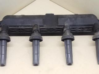 катушка зажигания Peugeot 206 1 поколение [рестайлинг] 2004, BBC2.2NDT