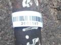 полуось передняя правая (приводной вал, ШРУС) Nissan Almera N16 2003, 1.5 л., i, бензин, 391005M310, 39100BM500 - фото №2