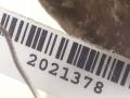 подушка крепления двигателя Opel Astra G 2003, 2.2 л., Y 22 DTR, дизель, 5МКПП, черный, универсал, передний привод, 90575772 - фото №5