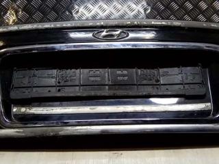 подсветка номера Hyundai Sonata 4 поколение [рестайлинг] 2004, 2.7 л., i, G6BA, бензин, АКПП, чёрный, седан, передний привод, 925013D000