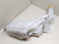 бачок омывателя Opel Astra G 2003, 2.2 л., Y 22 DTR, дизель, МКПП, черный, универсал, передний привод, 1450607 - фото №2