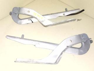 петля капота правая Peugeot 307 1 поколение 2002, 2.0 л., HDi, RHS (DW10ATED), дизель, МКПП, серебристый, хетчбэк 5 дв., передний привод, 7912A8