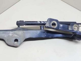 петля капота правая Ford Expedition 2 поколение U222 2004, 4.6 л., i, бензин, АКПП, синий, внедорожник 5 дв., полный привод, 1L3416800AA