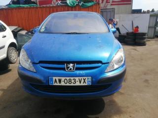 Peugeot 307 1 поколение