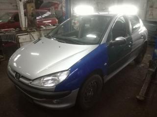 Peugeot 206 1 поколение