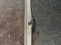 поворотник правый Peugeot 807 1 поколение 2004, 2.0 л., RHM (DW10ATED4), дизель, АКПП, черный, передний привод - фото №3