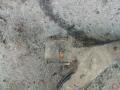 рычаг подвески Peugeot 607 1 поколение 2001, 2.2 л., 4HX (DW12TED4/FAP), дизель, МКПП, передний привод - фото №3