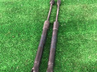 амортизатор крышки багажника (3-5 двери) Ford Mustang 6 поколение S550 [рестайлинг] 2018, 2.3 л., АКПП, купе, задний привод, FR3B-63406A10-AB