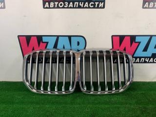решетка радиатора BMW X7 G07 (2018 - 2026)