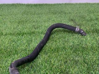 патрубок радиатора Ford Mustang 6 поколение S550 [рестайлинг] 2019, 2.3 л., бензин, АКПП, черный, кабриолет, задний привод, A69E-8A582-AC