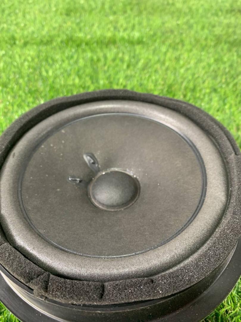 динамик двери Ford Mustang 6 поколение S550 2016, 5.0 л., бензин, МКПП, серый, купе, задний привод - фото №1