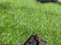 Проводка КПП Alfa Romeo Stelvio 1 поколение 2018, 2.0 л. - фото №2
