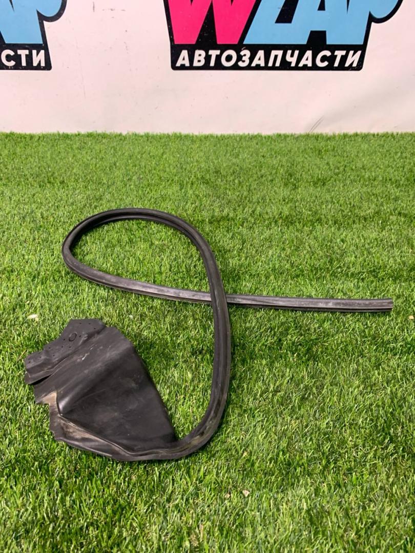 уплотнитель двери Tesla Model S 1 поколение 2012 - фото №1