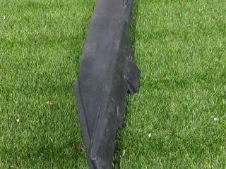 обшивка багажника Tesla Model S 1 поколение [рестайлинг] 2016, электро, 1010338-00-D