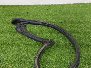 уплотнитель двери Ford Mustang 6 поколение S550 [рестайлинг] 2019, 2.3 л., бензин, АКПП, купе