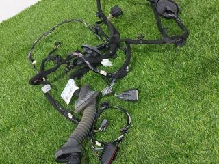 дверная проводка Ford Mustang 6 поколение S550 [рестайлинг] 2019, 2.3 л., бензин, АКПП, купе, ES73F22464BE