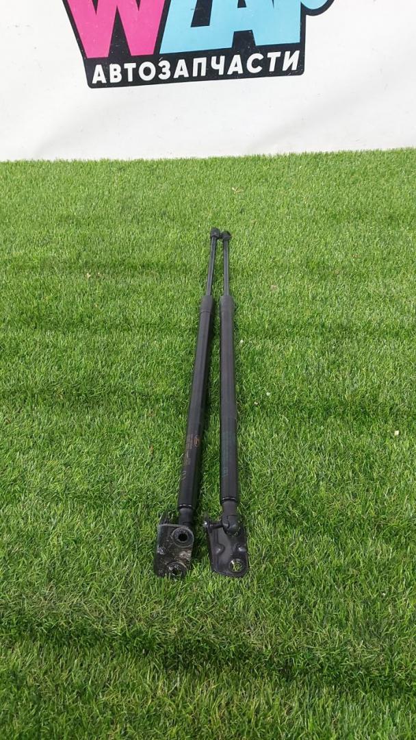 амортизатор крышки багажника (3-5 двери) Ford Escape 4 поколение CX482 2021, 1.5 л., бензин, АКПП, внедорожник 5 дв., полный привод - фото №1